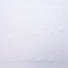 iColorPro Cleanroom Wiper